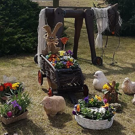 Urlaubsscheune Niedergorsdorf Eksteriør bilde