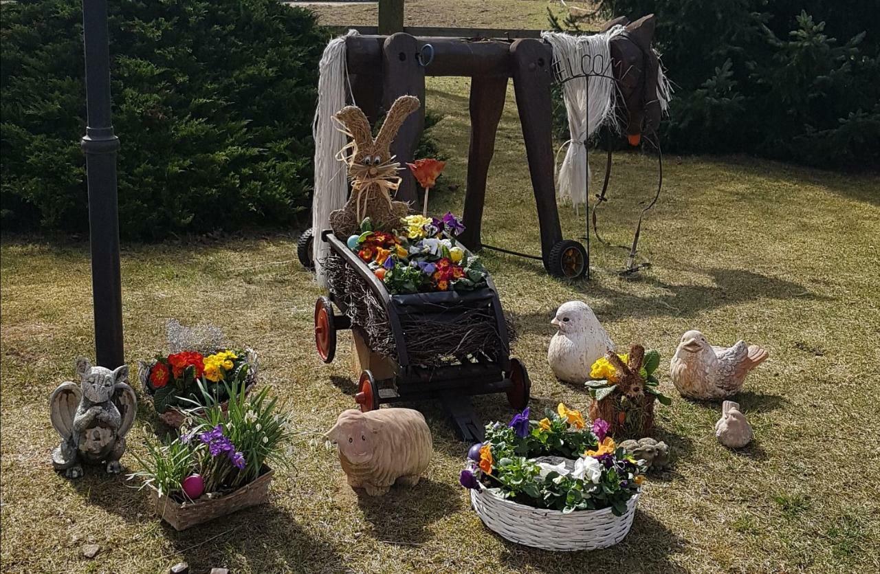 Urlaubsscheune Niedergorsdorf Eksteriør bilde